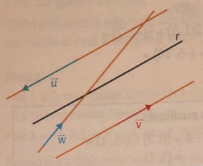 Os vetores u⃗\vec{u}u e v⃗\vec{v}v tem a direção da reta rrr.